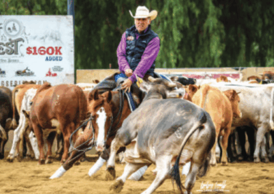 Scottsdale Rancher Trains Horses